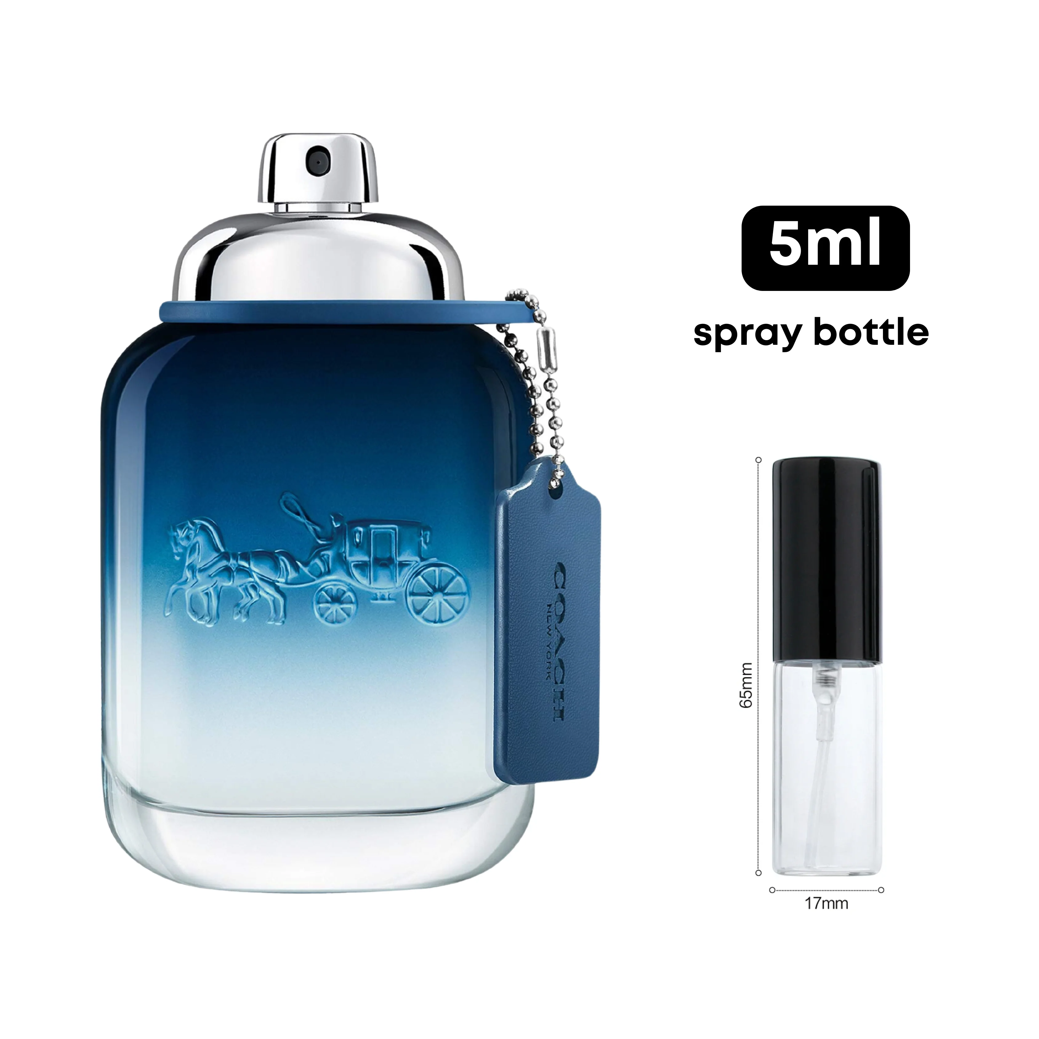 Coach Blue - Image 2