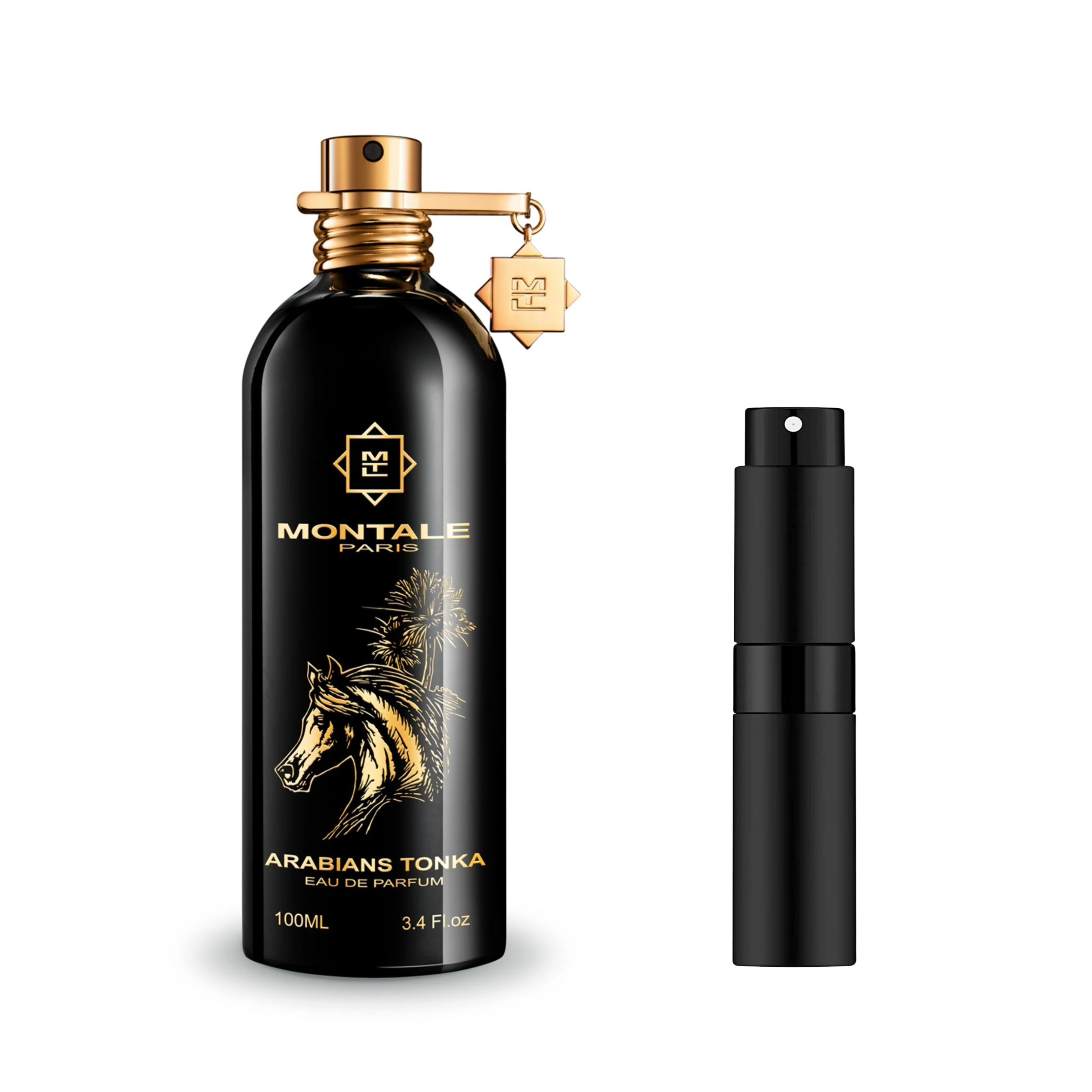 Montale Arabians Tonka - Image 2