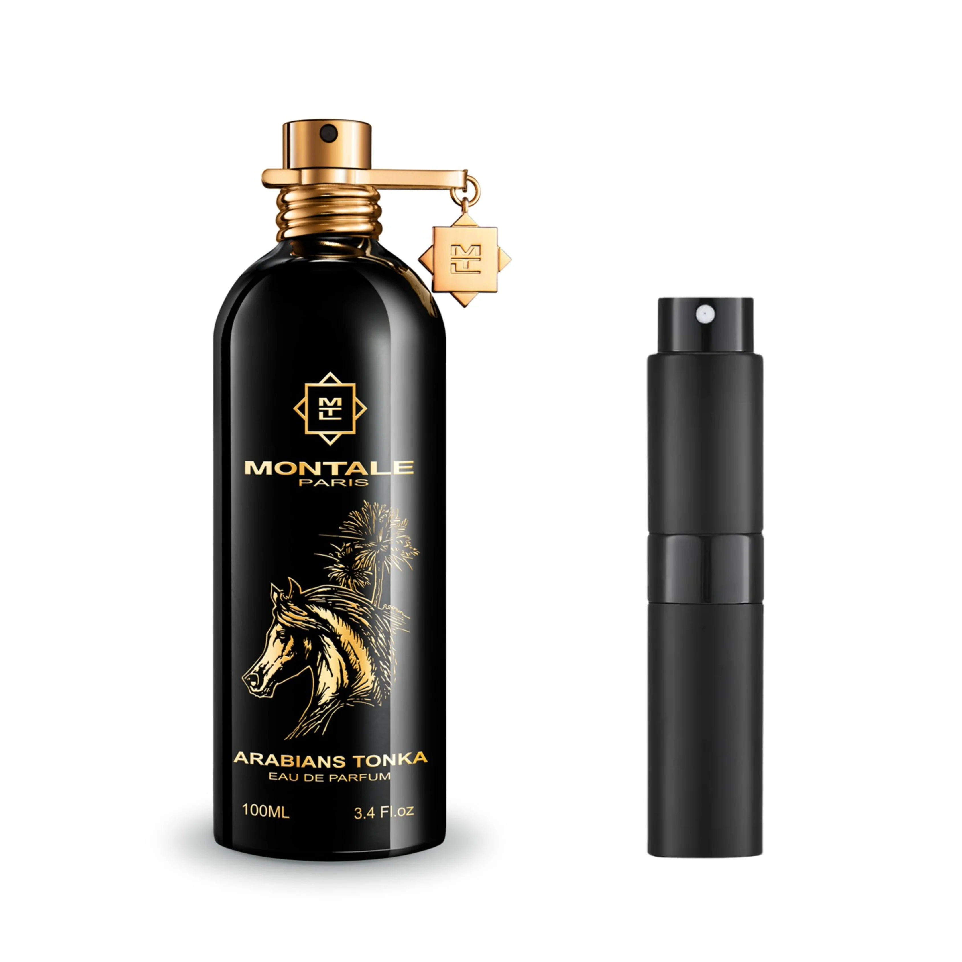 Montale Arabians Tonka - Image 3
