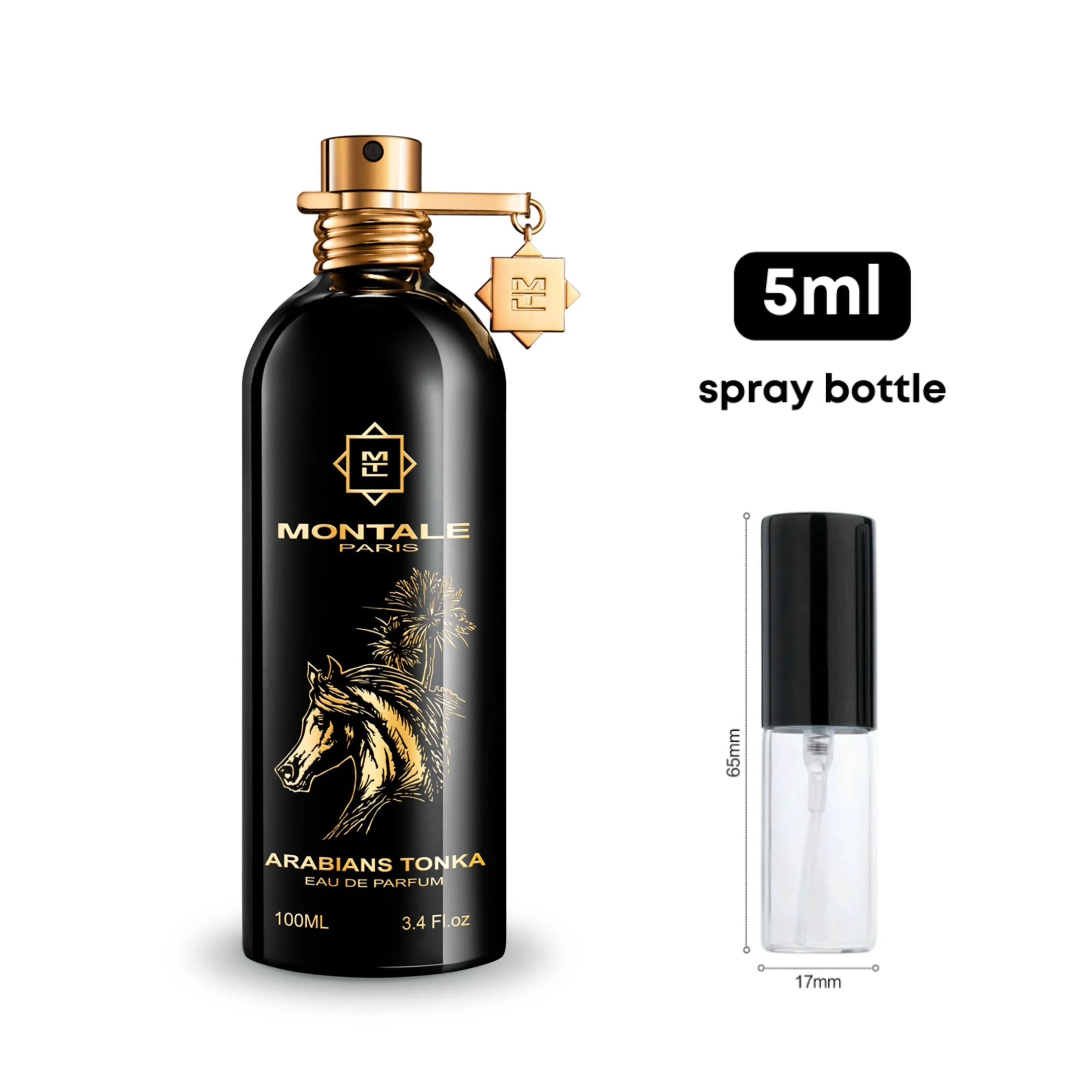 Montale Arabians Tonka - Image 4